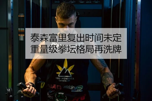 泰森富里复出时间未定 重量级拳坛格局再洗牌